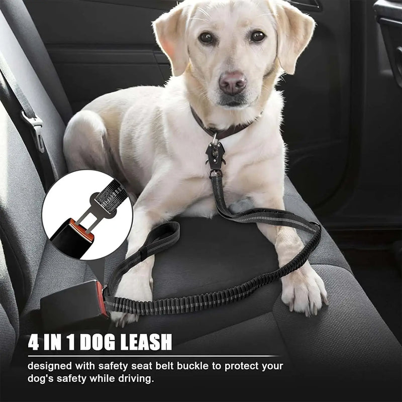 Coleira Tática com Amortecedor Bungee - Segurança e Controle para Seu Cão Aventureiro!